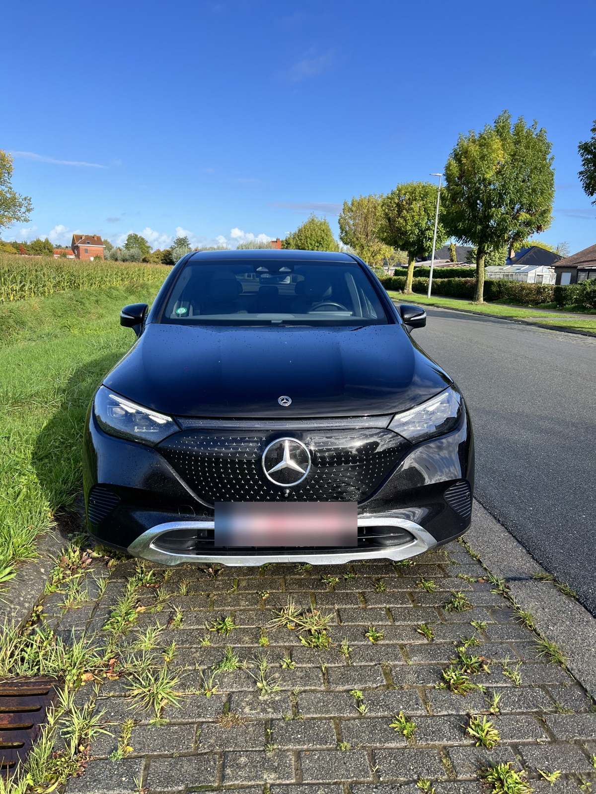 Mercedes-Benz EQE SUV 350+ Luxury Line 2